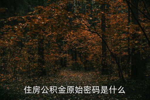 住房公積金原始密碼是什么