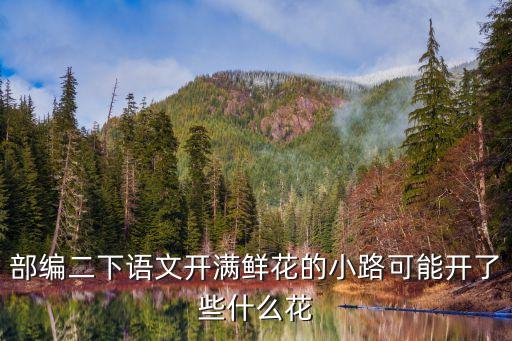 部編二下語文開滿鮮花的小路可能開了些什么花