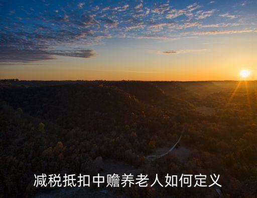 專項(xiàng)扣除贍養(yǎng)老人，贍養(yǎng)老人專項(xiàng)扣除金額