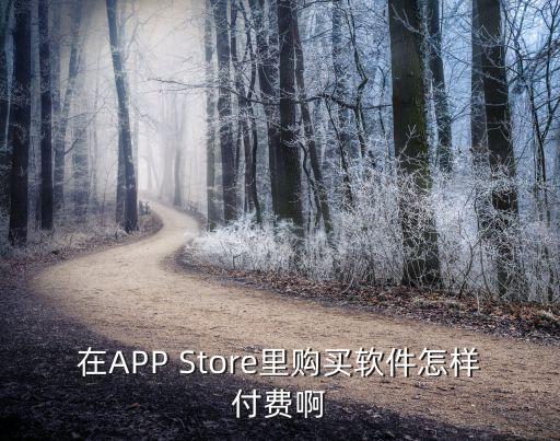 買程序，在APP Store里購買軟件怎樣付費啊