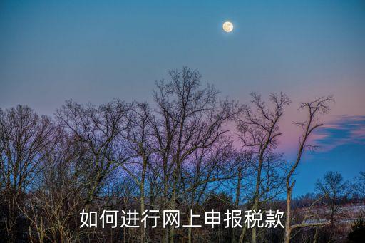 如何進行網(wǎng)上申報稅款