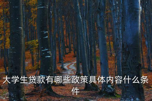 大學(xué)生貸款政策，大學(xué)生貸款有哪些政策具體內(nèi)容什么條件