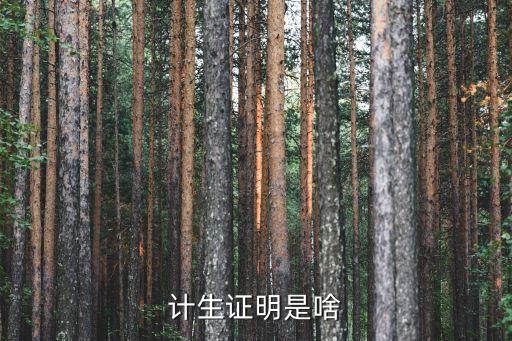 計生證明，計生證明如何辦理