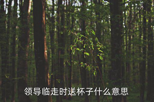 臨走的意思，臨別贈言的臨是什么意思