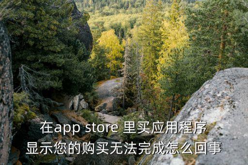 在app store 里買應(yīng)用程序顯示您的購(gòu)買無(wú)法完成怎么回事