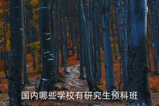 國內(nèi)哪些學(xué)校有研究生預(yù)科班