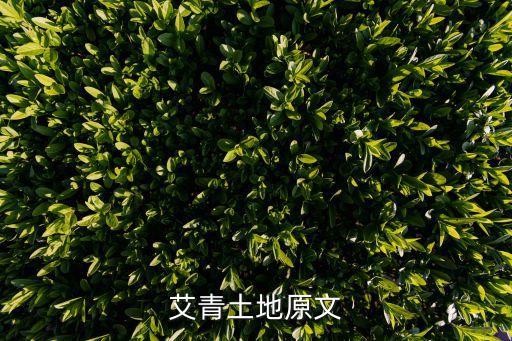 專地，專用地址也稱私有地址是指 a ip地址 b 只用于本地地址 c 因特網(wǎng)上