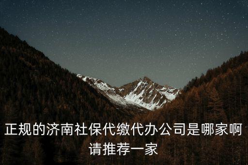 正規(guī)的濟南社保代繳代辦公司是哪家啊請推薦一家