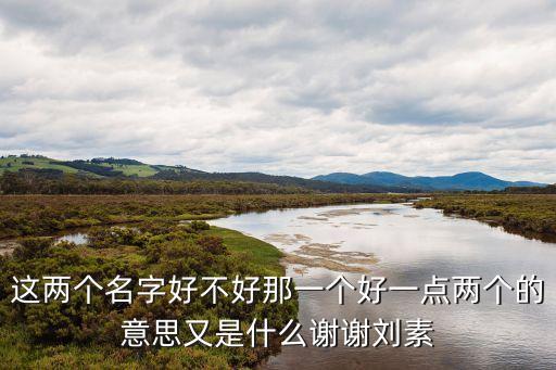 這兩個名字好不好那一個好一點兩個的意思又是什么謝謝劉素