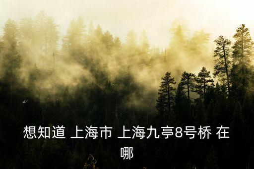上海8號(hào)橋，想知道 上海市 上海九亭8號(hào)橋 在哪