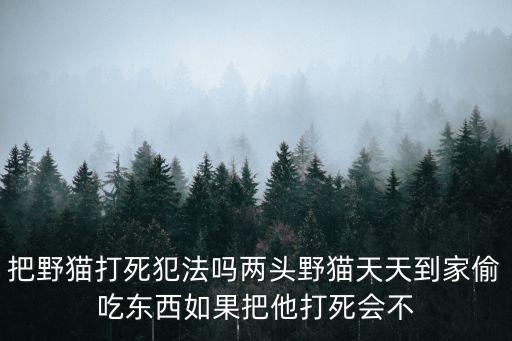把野貓打死犯法嗎兩頭野貓?zhí)焯斓郊彝党詵|西如果把他打死會(huì)不