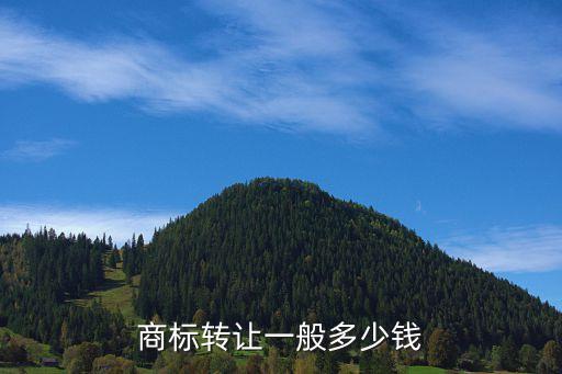 11類商標(biāo)轉(zhuǎn)讓多少錢，商標(biāo)轉(zhuǎn)讓所需費(fèi)用