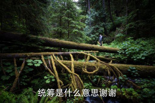 統(tǒng)籌是什么意思謝謝