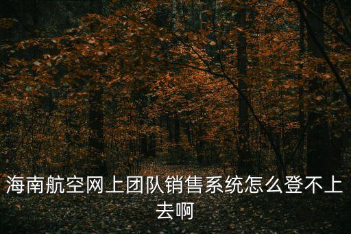 海航團隊網(wǎng)，海南航空網(wǎng)上團隊銷售系統(tǒng)怎么登不上去啊