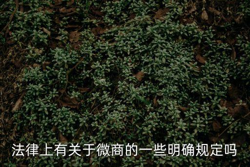 法律上有關(guān)于微商的一些明確規(guī)定嗎