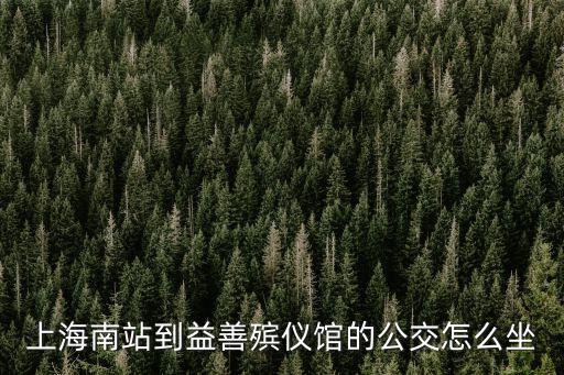 上海南站到益善殯儀館的公交怎么坐