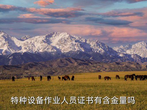 特種設(shè)備作業(yè)人員證書有含金量嗎