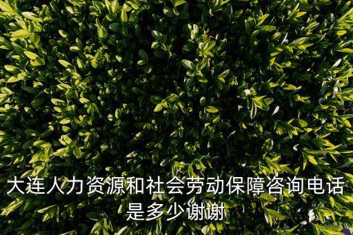 大連人力資源和社會(huì)勞動(dòng)保障咨詢電話是多少謝謝
