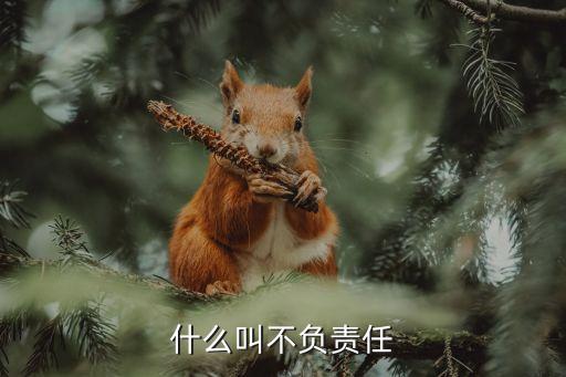 不負(fù)責(zé)任，不負(fù)責(zé)任有什么嚴(yán)重后果