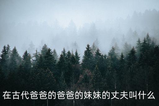 在古代爸爸的爸爸的妹妹的丈夫叫什么