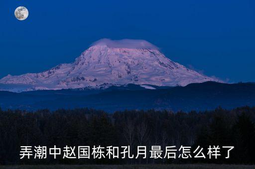 弄潮中趙國棟和孔月最后怎么樣了