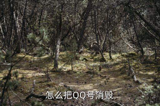 消毀，怎么把QQ號消毀