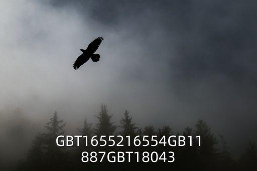 GBT1655216554GB11887GBT18043