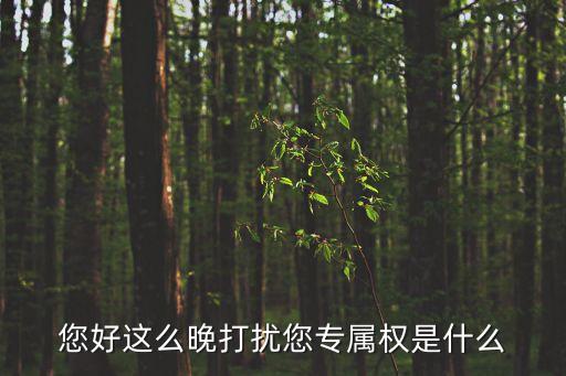 您好這么晚打擾您專屬權(quán)是什么