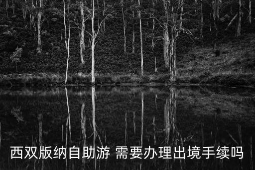 西雙版納要護(hù)照嗎，西雙版納自助游 需要辦理出境手續(xù)嗎