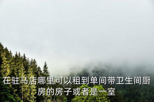 在駐馬店哪里可以租到單間帶衛(wèi)生間廚房的房子或者是一室