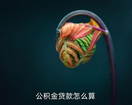 公積金貸款怎么算