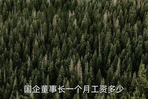 國(guó)企董事長(zhǎng)一個(gè)月工資多少