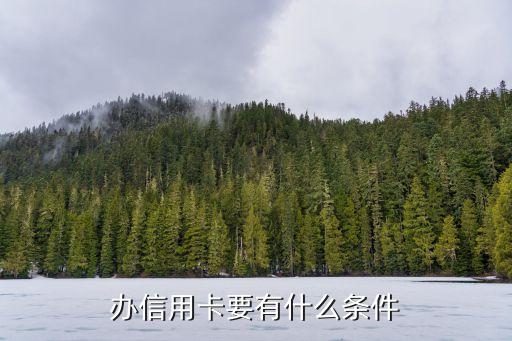 辦信用卡的條件，辦理信用卡需要哪些條件
