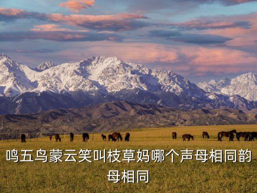 草媽媽?zhuān)軳I媽英語(yǔ)怎么說(shuō)