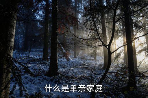 單親家庭是指什么，什么是單親家庭