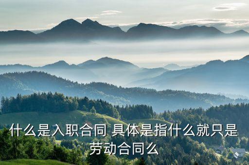 入職合同，什么是入職合同 具體是指什么就只是勞動(dòng)合同么