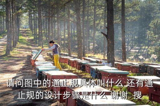 請問圖中的通止規(guī)具體叫什么 還有通止規(guī)的設計步驟是什么 謝謝  搜