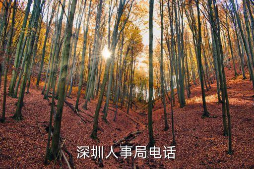 深圳人事局電話