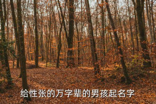 張萬峰，張萬峰有多少重名