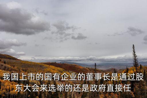 我國(guó)上市的國(guó)有企業(yè)的董事長(zhǎng)是通過(guò)股東大會(huì)來(lái)選舉的還是政府直接任