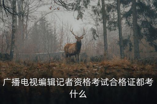 廣播電視編輯記者資格考試合格證都考什么