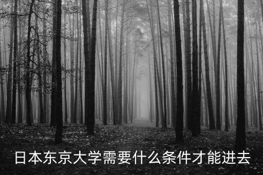 日本東京大學(xué)需要什么條件才能進(jìn)去