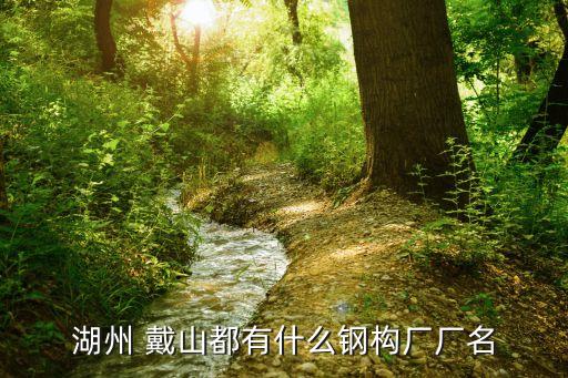 戴山，戴山有山嗎