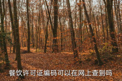 許可證號，餐飲許可證編碼可以在網(wǎng)上查到嗎
