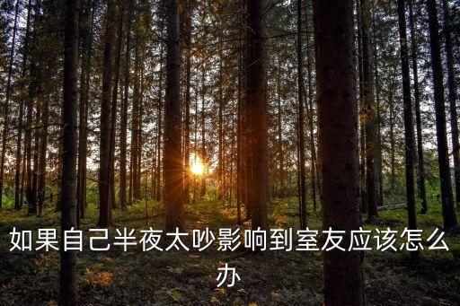 打擾了室友，如果自己半夜太吵影響到室友應(yīng)該怎么辦