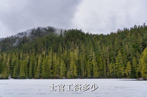 士官待遇，士官工資多少