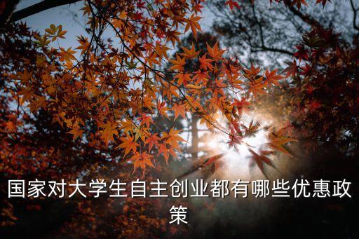 大學(xué)生創(chuàng)業(yè)補(bǔ)貼，對(duì)于大學(xué)生創(chuàng)業(yè)國(guó)家有哪些扶持政策