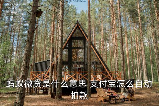 螞蟻微貸是什么意思 支付寶怎么自動(dòng)扣款