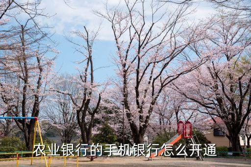 農(nóng)業(yè)銀行手機銀行，中國農(nóng)行銀行手機銀行怎么弄