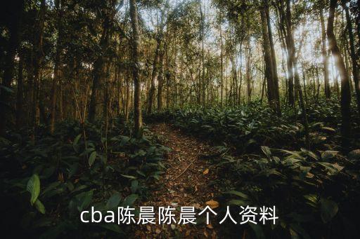 cba陳晨陳晨個(gè)人資料